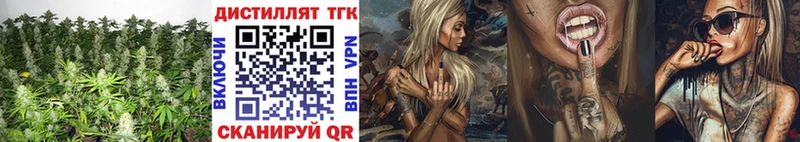 закладка  Евпатория  ТГК Wax 