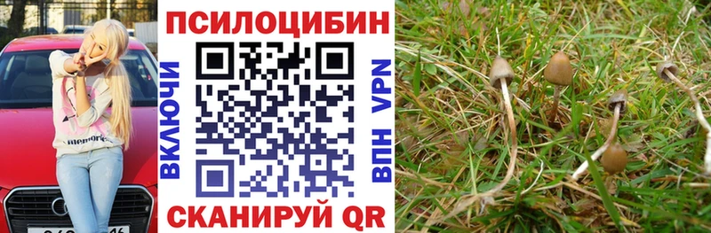 купить наркоту МЕГА маркетплейс Галлюциногенные грибы ЛСД Евпатория